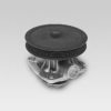 HEPU P1011 Water Pump